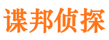 大新市私人侦探